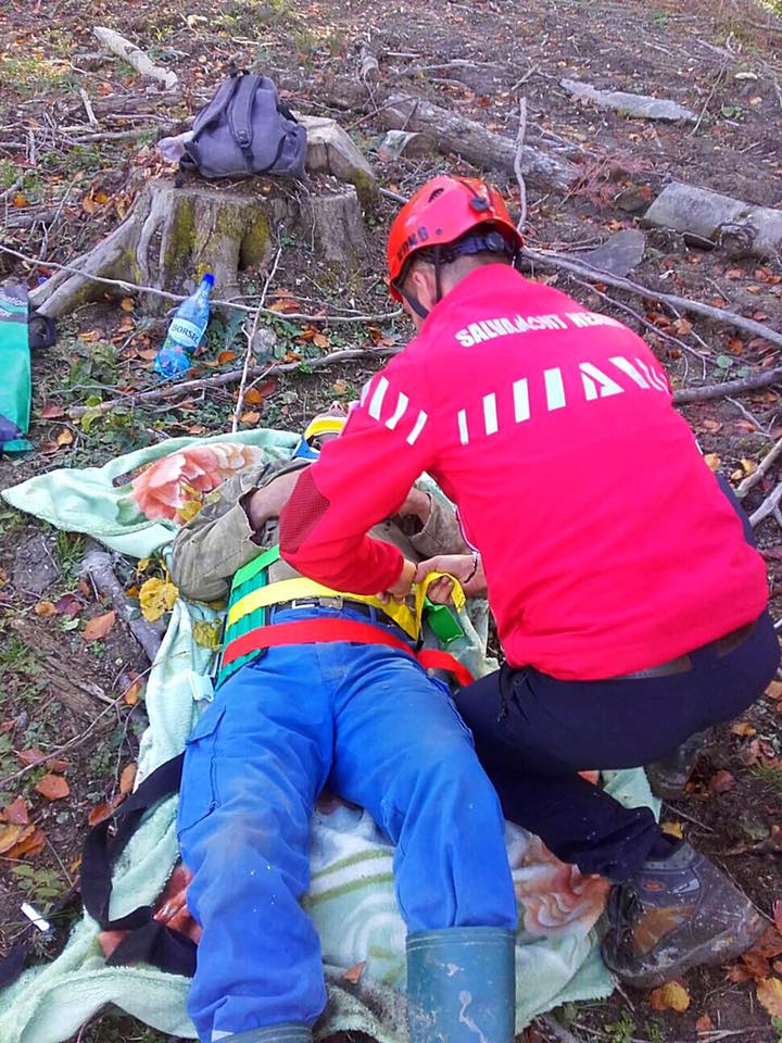Angajat de o lună, strivit de un copac