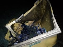 Container incendiat la Târgu Neamţ