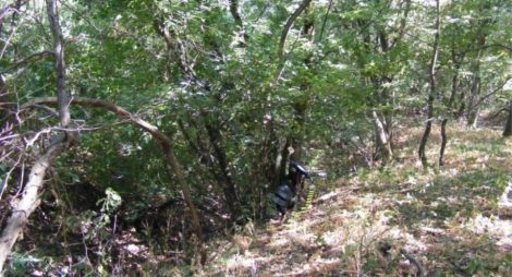 Un tânăr s-a spânzurat la marginea pădurii, ZCH NEWS - sursa ta de informații