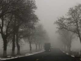 Atenționare cod galben de ceață, polei și ghețuș în Regiunea Nord – Est Cod galben de ceață densă în nord-estul țării