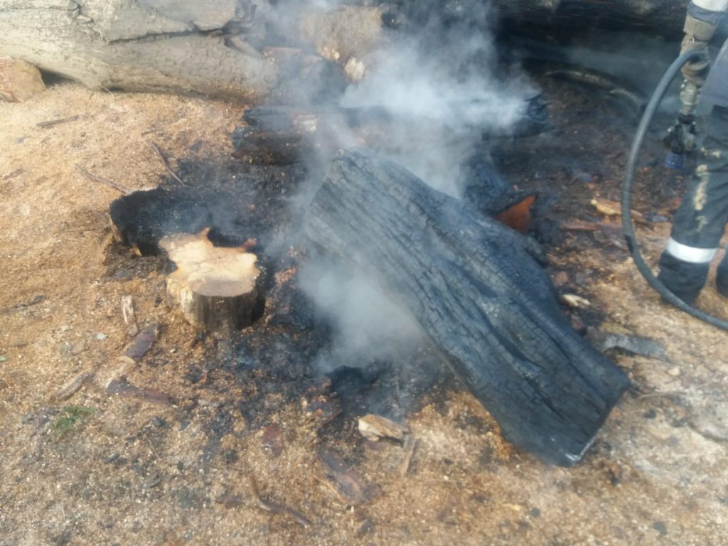 FOTO: Prăpăd la o firmă de exploatare lemnoasă, de la fumat, ZCH NEWS - sursa ta de informații
