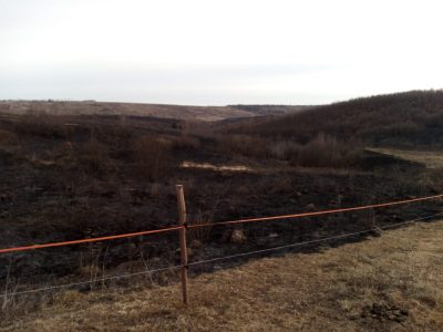 Un ”deștept” a dat foc la iarba uscată și a pus în pericol două ferme și pădurea, ZCH NEWS - sursa ta de informații