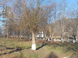 Târgu Neamţ: Noul gard de la parcul Cetate bagă zâzanie în Consiliul Local