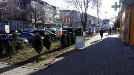 Proiect pentru amenajare spaţii verzi contractat de Primăria Târgu Neamţ, ZCH NEWS - sursa ta de informații