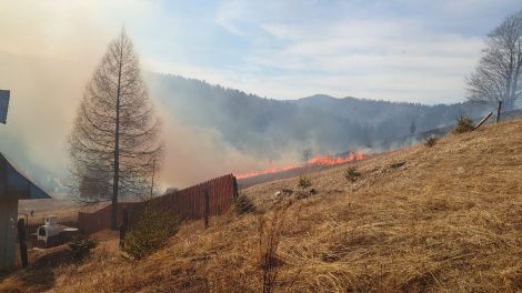 Video: Arde un deal din Durău, focul a ajuns la limita gospodăriilor, ZCH NEWS - sursa ta de informații