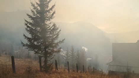 Trei nemțeni amendați pentru incendii extinse pe 10 hectare de vegetație, ZCH NEWS - sursa ta de informații