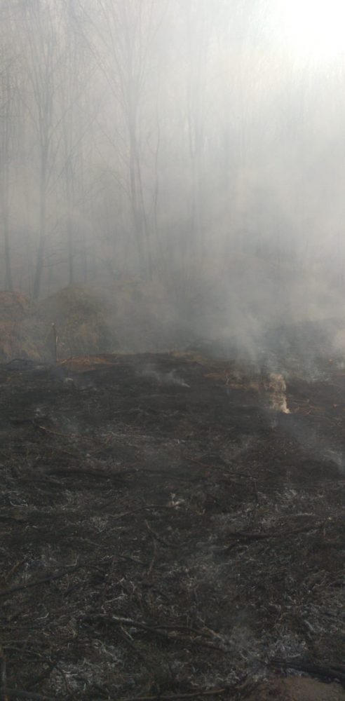 FOTO: Petricani &#8211; S-au „ars” de subvenții, incendiu întins pe 50 hectare, ZCH NEWS - sursa ta de informații