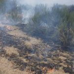 Încă un incendiu întins pe 10 hectare, ZCH NEWS - sursa ta de informații