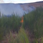 Încă un incendiu întins pe 10 hectare, ZCH NEWS - sursa ta de informații
