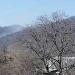 VIDEO/FOTO: A luat foc pădurea, lângă Cetatea Neamțului, ZCH NEWS - sursa ta de informații