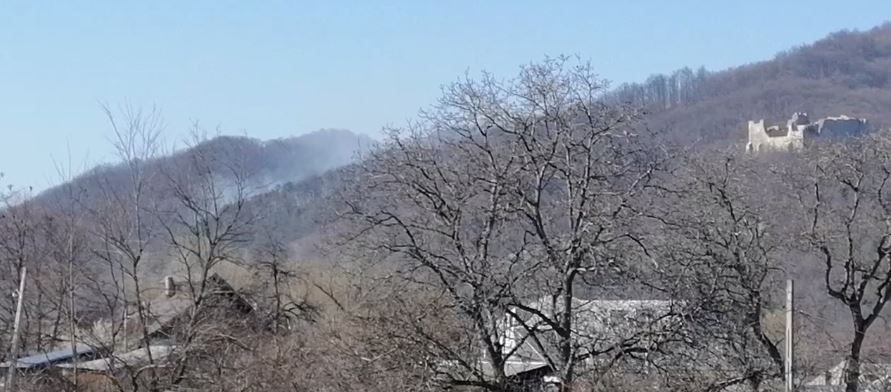 VIDEO/FOTO: A luat foc pădurea, lângă Cetatea Neamțului, ZCH NEWS - sursa ta de informații