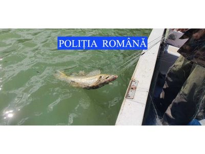 Acțiune pe Lacul Bicaz: o barcă și 4 plase confiscate, 4 dosare penale pentru braconieri, ZCH NEWS - sursa ta de informații