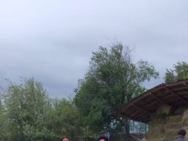 Un grajd supraîncărcat cu baloți de paie s-a prăbușit peste 20 de vite