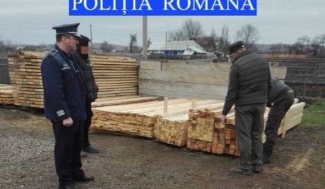 Polițiștii au confiscat 186 mc lemn, în 5 zile, ZCH NEWS - sursa ta de informații