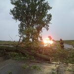 Efectele vijeliei: Mai multe localități fără curent electric, copaci căzuți peste mașini, drumuri blocate, ZCH NEWS - sursa ta de informații