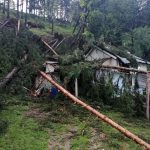 Bătrână rămasă fără casă, după ce mai mulți copaci au fost doborâți de torenți, ZCH NEWS - sursa ta de informații