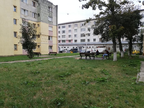 Tineri amendați de Poliția Locală pentru zgomot și distrugerea mobilierului stradal, ZCH NEWS - sursa ta de informații