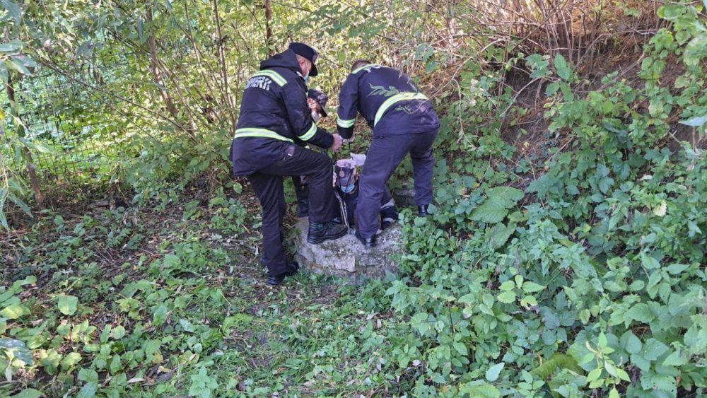 Bărbat găsit mort în fântână, ZCH NEWS - sursa ta de informații