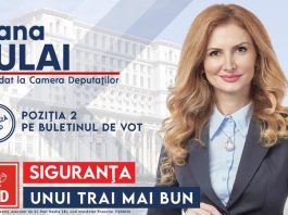 Cultura românească are rapid nevoie de sprijin guvernamental
