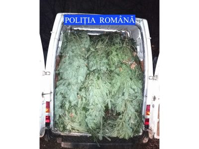 Prima captură de sezon: Polițiștii pietreni au confiscat 110 brazi de la un romașcan, ZCH NEWS - sursa ta de informații