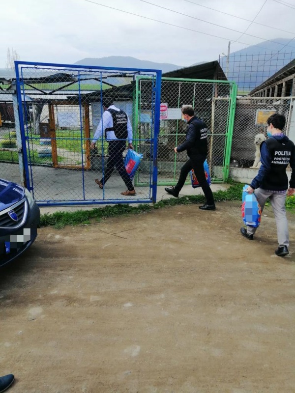 Vizită surpriză a polițiștilor la adăpostul de câini din Piatra Neamț, ZCH NEWS - sursa ta de informații