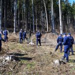 171 puieți de stejar plantați de jandarmii nemțeni, ZCH NEWS - sursa ta de informații