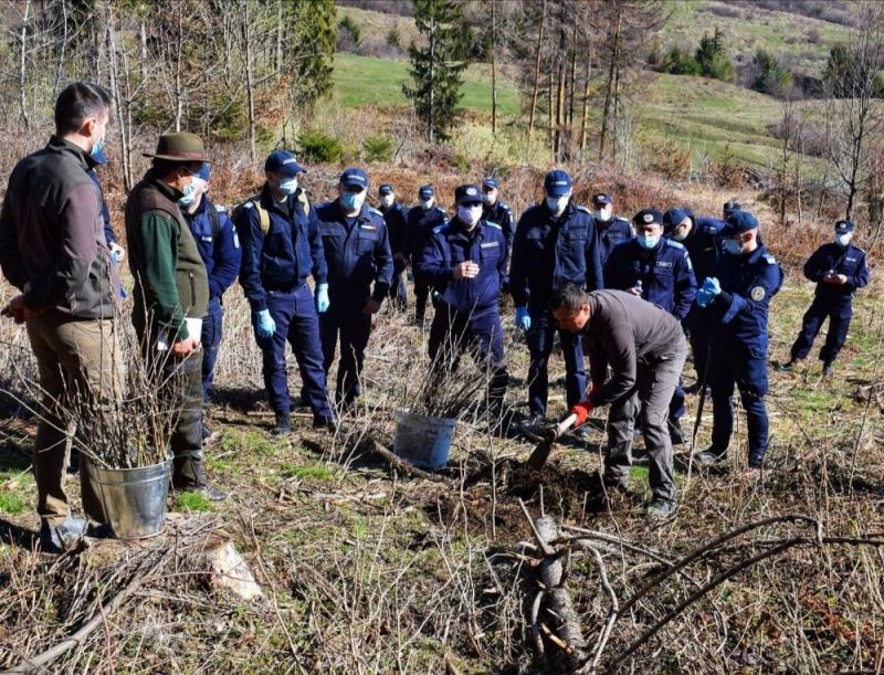 171 puieți de stejar plantați de jandarmii nemțeni, ZCH NEWS - sursa ta de informații