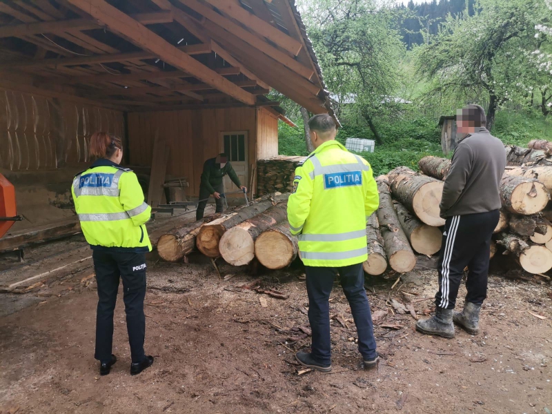 Doi gateriști din Piprig au fost amendați cu 15.000 lei pentru lemn fără acte, ZCH NEWS - sursa ta de informații