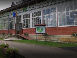 Șeful Ocolului Silvic Pipirig a fost arestat 30 de zile, pădurarul și inginerul silvic – sub control judiciar