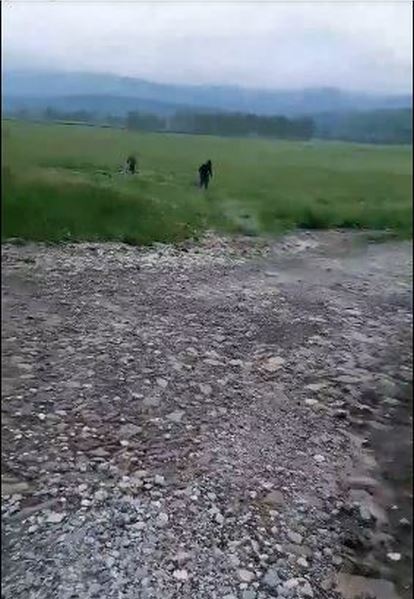 „Minune” la Vânători-Neamţ: Peşti vii pe marginea drumului şi pe şosea