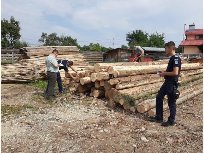 Amenzi de 28 mii lei și lemn confiscat într-o acțiune a poliției, ZCH NEWS - sursa ta de informații