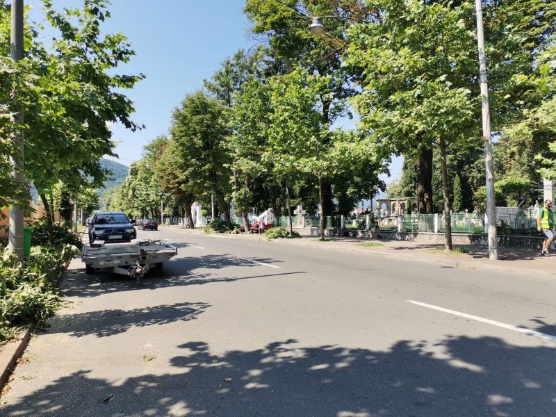 Piatra-Neamț rămâne fără un simbol vechi de 150 de ani, ZCH NEWS - sursa ta de informații
