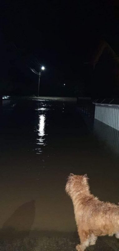Un torent a inundat un drum și câteva case la Grumăzești, ZCH NEWS - sursa ta de informații