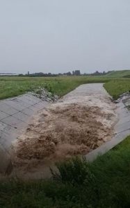 VIDEO: Râul Cracău la Roznov, ZCH NEWS - sursa ta de informații