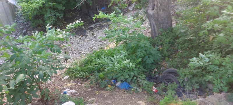 Vânători-Neamţ: Gunoaie și apeluri la educație