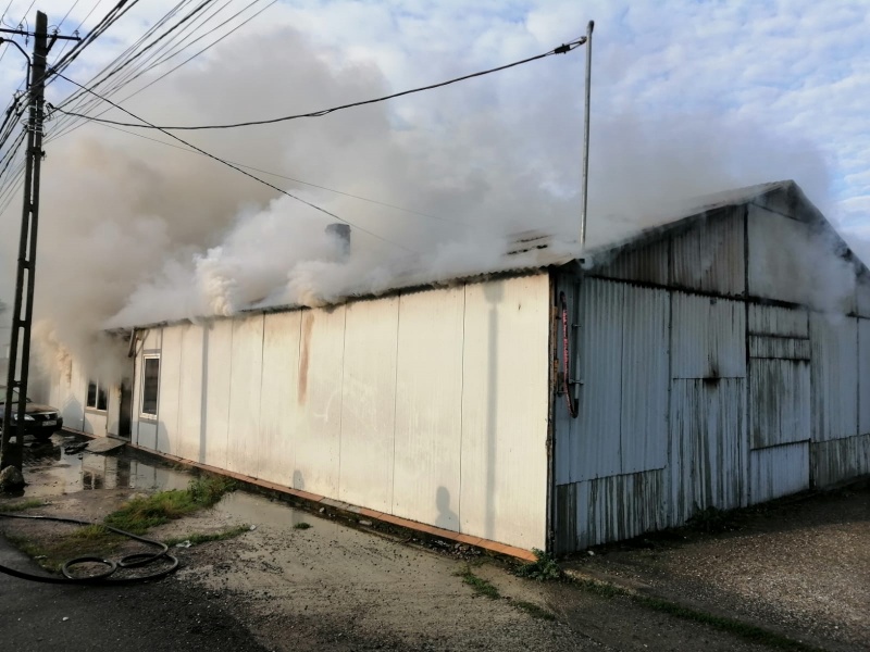 Foto. Incendiu la o hală de depozitare din Roman, ZCH NEWS - sursa ta de informații