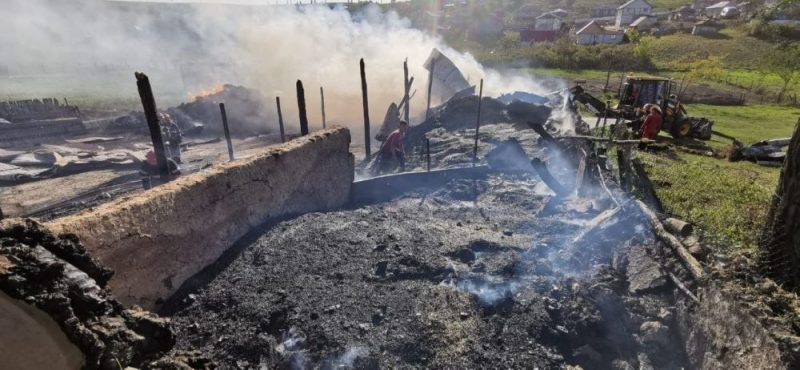 VIDEO: Gospodărie distrusă în incendiul pornit de la curățenia de toamnă