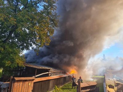 Știre actualizată. Foto. Video. Incendiu la o casă în Viișoara, ZCH NEWS - sursa ta de informații