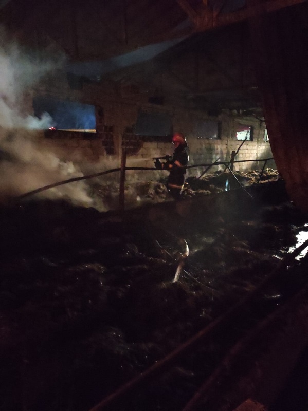 Șase ore de muncă la un incendiu devastator, victime colaterale: 350 de rațe și 60 de iepuri, ZCH NEWS - sursa ta de informații