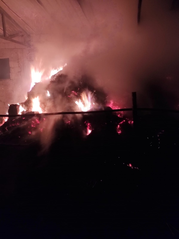 Șase ore de muncă la un incendiu devastator, victime colaterale: 350 de rațe și 60 de iepuri, ZCH NEWS - sursa ta de informații