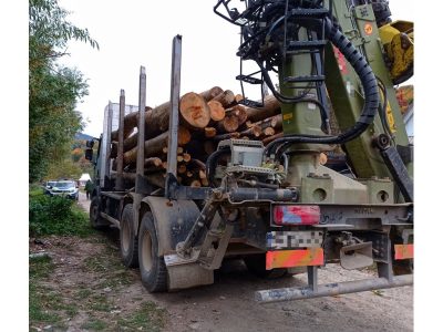 Percheziții pentru furt de lemn la Crăcăoani, ZCH NEWS - sursa ta de informații
