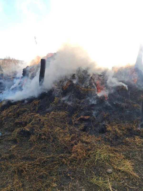 Foto. 10 tone de furaje au ars în Lețcani, ZCH NEWS - sursa ta de informații