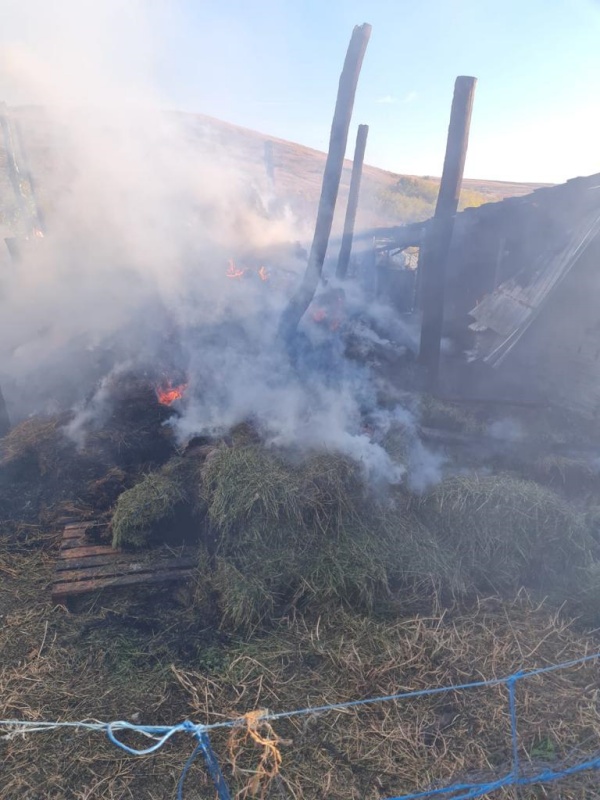 Foto. 10 tone de furaje au ars în Lețcani, ZCH NEWS - sursa ta de informații