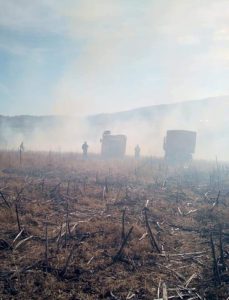 30 de hectare de mirişte au ars la Bozieni, ZCH NEWS - sursa ta de informații
