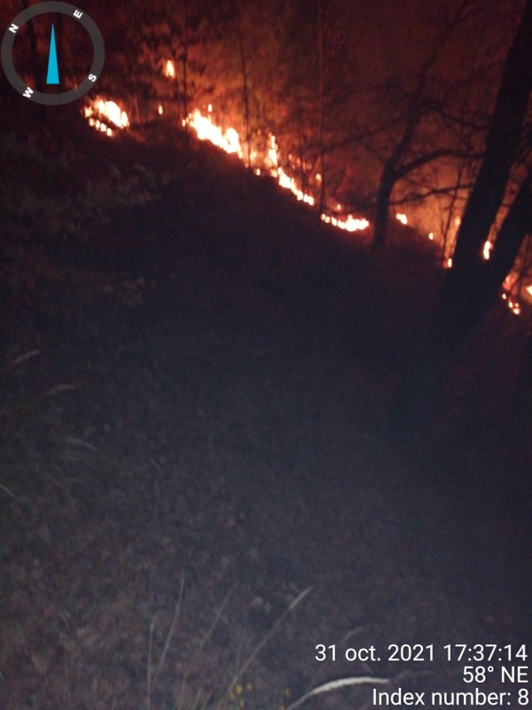 Știre actualizată. Foto. Video. Incendiu litieră de pădure în comuna Oituz. Ziua a patra, ZCH NEWS - sursa ta de informații