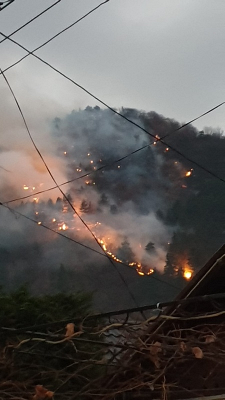 Știre actualizată. Foto. Video. Incendiu litieră de pădure în comuna Oituz. Ziua a patra, ZCH NEWS - sursa ta de informații