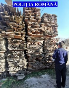 Amenzi de 23.000 lei și lemn confiscat la 6 gatere din Borca și Crăcăoani, ZCH NEWS - sursa ta de informații