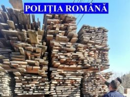 Amenzi de 23.000 lei și lemn confiscat la 6 gatere din Borca și Crăcăoani