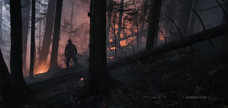 VIDEO. Incendiul din pădurea Tazlău stins după trei zile de muncă, ZCH NEWS - sursa ta de informații