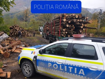 Scutul Pădurii: Peste 150 mc de lemn confiscat și amenzi de 45.000 de lei, ZCH NEWS - sursa ta de informații
